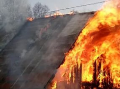 Немного тепла с ветром и дачи  в Камышине горят одна за другой