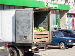 Почему в Камышине в центре города разрешают торговлю арбузами с машин? - камышанин