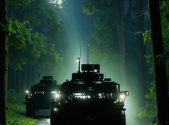 Новости СВО на утро 14 марта: Суджа официально освобождена, Путин согласился на перемирие, а Зеленского разнесли за курскую операцию