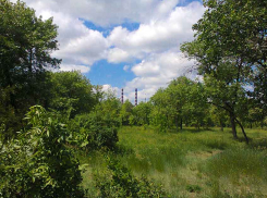 Отозвать «платежки» у жителей Волгоградской области из-за платы за отопление в майских квитанциях призвал коммунальщиков экс-депутат Облдумы