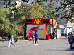 В Камышине ищут новую семью 10-летнему мальчику, оставшемуся без родителей