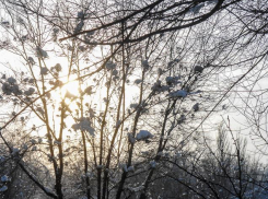 Саратовскую трассу закрыли в Камышинском районе из-за сильного тумана 