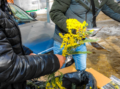 Морозы вернутся в Камышин перед 8 Марта: погодная повестка на конец недели