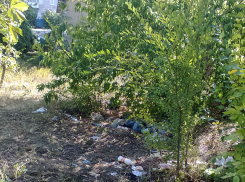 Депутаты Камышинской городской думы решили «ударить субботником» по запущенному парку Текстильщиков