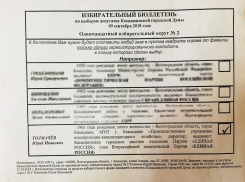 Ноу-хау агитационных технологий в Камышине от «Единой России»: все конкуренты «размазаны»