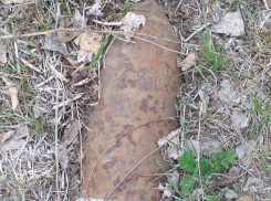 В Камышинском районе у хутора Карпунин пастух нашел снаряд времен Великой Отечественной