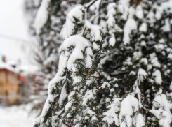 Морозы крепче 20 градусов ударили в Камышине