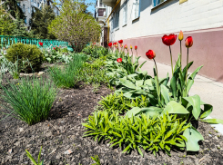 В каких домах в Камышине наметили отключить свет и воду сегодня, 21 апреля
