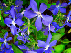 Больше солнца, меньше ветра - в Камышине столбик термометра пойдет вверх