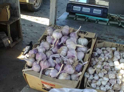 Минэкономики подтверждает тенденцию роста цен на товары на 7,2% до конца года