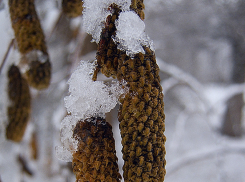 К Камышину подбирается снежный фронт с метелью