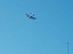 В Чухонастовке Камышинского района на поиски бесследно пропавшей Айлиты Ли вновь поднялся самолет, окрестности села прочесывают военные