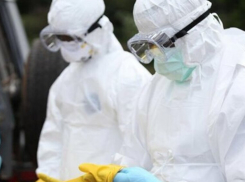 15-й случай коронавируса в Волгоградской области с отсрочкой, но подтвердили