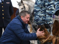 Губернатор Андрей Бочаров потрепал по загривку полицейских лошадей и погладил овчарок