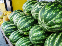 В Камышине продавцы арбузов еще на 5 рублей сбросили цену на полосатую ягоду
