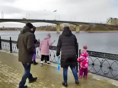 На сколько увеличится родительская плата за детсад в Камышине с  января 2025 года?