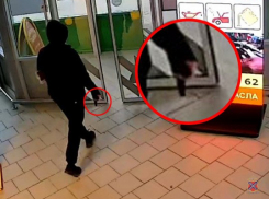  В Камышине полицейские задержали подозреваемого в разбое (ВИДЕО)