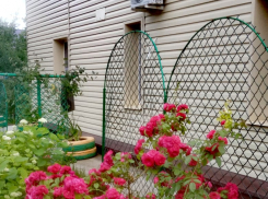 В Камышине чуть не каждый второй двор можно отправлять на конкурс по озеленению