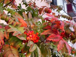 На вечер поэзии и музыки со свободным входом приглашают камышан в воскресенье, 29 сентября