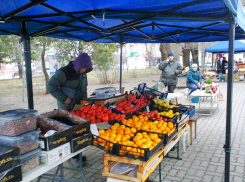 Синоптики пообещали камышанам больше солнца, но и больше магнитных возмущений