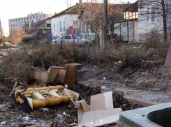 Надо бы свалку вывезти, а то как же тут комфортную городскую среду устраивать? - камышанка