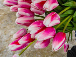 «Меня поздравили, и особо тронула фраза, сказанная с поклоном: «За сына»...