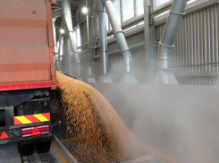 ООО «Камышинская зерновая компания» названа среди лидеров по мощностям для хранения зерна в Волгоградской области 