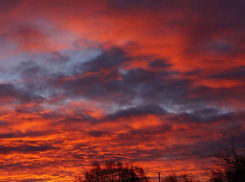 В Камышине в собственной квартире следователи обнаружили труп 49-летней женщины