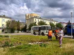 В Камышине бригады «Благоустройства» взялись вдохнуть вторую жизнь в привядшие клумбы