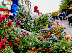 Рынки хризантем в Камышине очаровывают дачников и садоводов