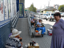 В Камышине дачники осваивают новые рынки «на земле»