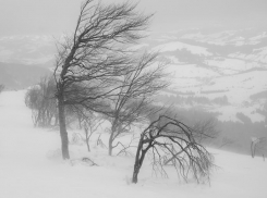 МЧС рассылает на телефоны камышан предупреждения о шквалистом ветре