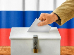 Камышане вяло тянутся на выборы
