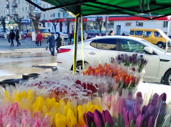 Ветер, дождь, солнце, «плюс» и пониженное атмосферное давление: погодная повестка на воскресенье 5 марта в Камышине
