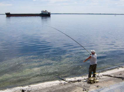 Стал известен еще один выдвиженец по «камышинскому» избирательному округу на выборах в Госдуму
