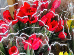 В Камышине появилась реклама предзаказа тюльпанов, цены космические