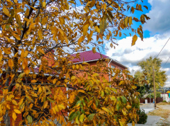 Густой туман с утра опустился на город, но днем проглянет солнце: погода в Камышине 15 ноября