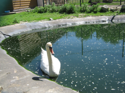 Камышин «раскалится» до +32-х сегодня, 29 мая