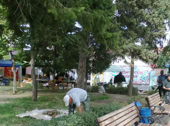 Если разрешили рынок у «Победы», но надо же и мусор там кому-то убирать? - камышанин