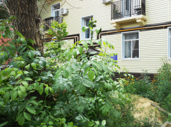 В Камышине сегодня, 12 августа, вновь отключают электричество, и не только, в десятках домов