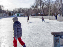 Морозно и солнечно: погода в Камышине в День защитника Отечества