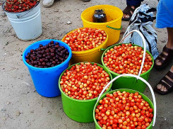 Известные российские диетологи назвали ТОП-3 «королевских» летних ягод, которыми завалены рынки Камышина