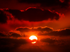 По предварительной версии следователей Камышина, найденный  изуродованный труп женщины оказался некриминального характера