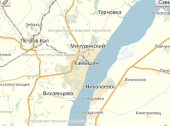 Войти в состав Саратовской области Камышинскому району предлагают уже на общероссийском уровне
