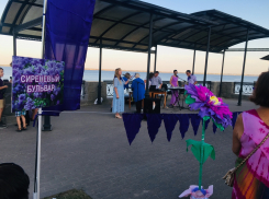 В День города в Камышине на набережной Волги раскинулся «Сиреневый бульвар»