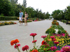 В центральном городском парке Камышина цветы вздохнули «навстречу» дождям