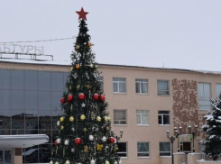В бюджете Камышина нашли почти миллион рублей, чтобы старые, облезлые городские синтетические елки заменить на новые