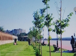 Администрация Камышина показала, как идеально она выстригла газоны у известного «дома на набережной», - камышанка