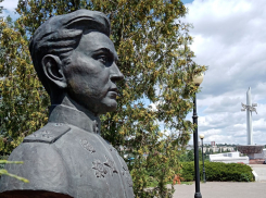 В Камышине от жары «подгорают» хвойные насаждения на аллее Героев у здания администрации города