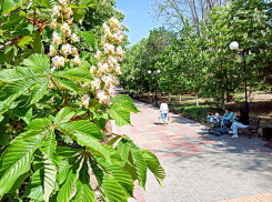 Камышанам предписано праздновать 9 мая в городе на трезвую голову